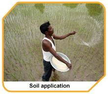 soil application